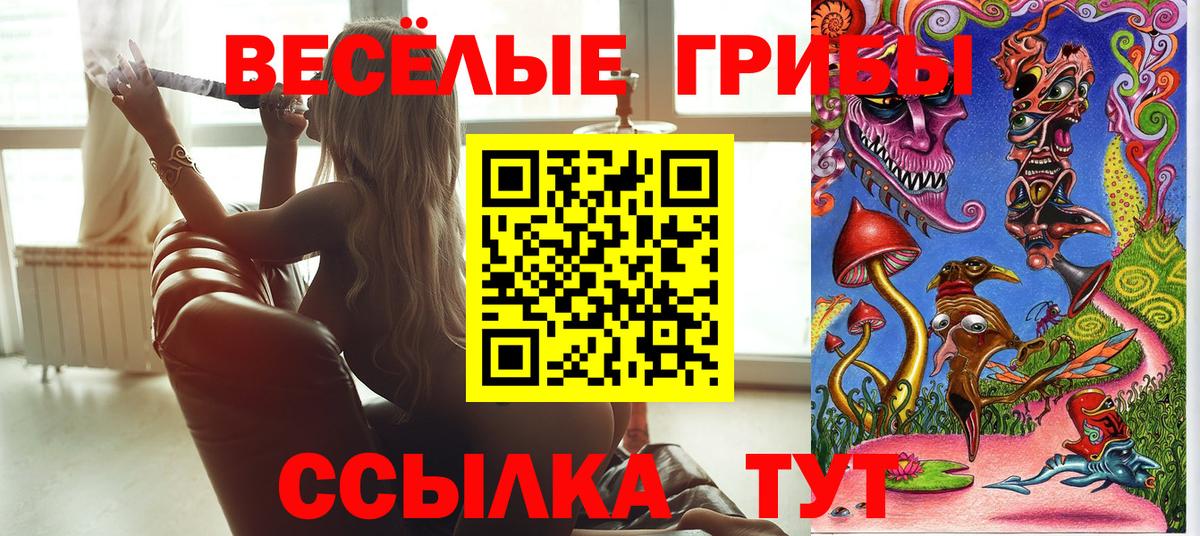 Псилоцибиновые грибы Psilocybe Полевской